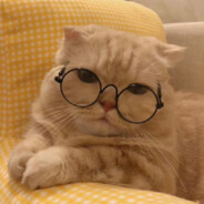 讀著我對妳的傷害