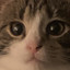 minisalami