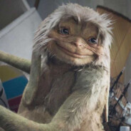 mitrusek