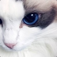 别洗盘子了你去倒泔水