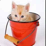 cat bucket's avatar