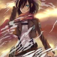 mikasa