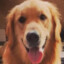 BaLu