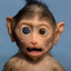 SPYmonkeY
