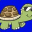 Elite Turtle