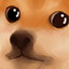 Cookie