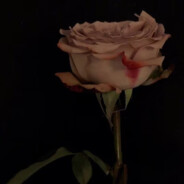 镜中的你，竟如此美丽