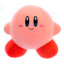 ZXC KIRBY