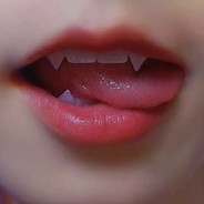 天诺杂碎