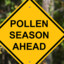 Pollen Allergy 2