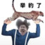 一份炸坤柳