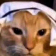 ALLAH MEOWKBAR