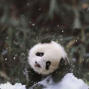 请不要叫我菜鸟