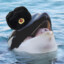 Comrade orca