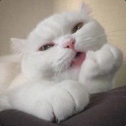 你冲上去能不能别倒