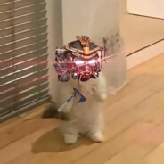 YX_玻璃心别骂了在练了