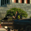 tanke_gaming