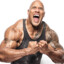 THE ROCK