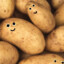 PotatoEnjoyer