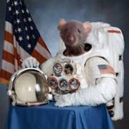 Space Rat