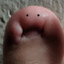 Toes