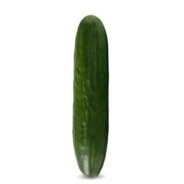 Zuhn