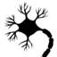 NEURON