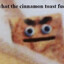 FierceCinnamon