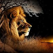✝The soldier of Jesus☦ avatar