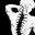 Social_mason_mx avatar