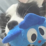 喂喂让我吃一口