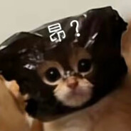 十余万万没想到