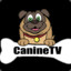 CanineTV