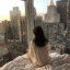 SunRize