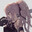 Acheron--