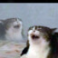 Maaw