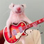Rocking Mouse