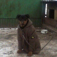 cccccccccccccccccccccccccccccccc - steam id 76561199815553654