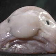 Dawidoszy - steam id 76561198313403484