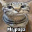 Mr. Popa
