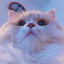 Steam avatar