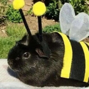 bee