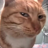 386旅独立团政委赵刚