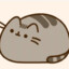 aircat_raz