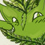 Fern