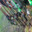 lordtroy7 avatar