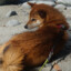 keira.sonen