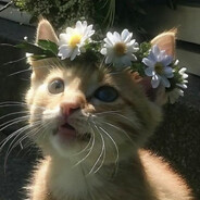 twicedying)