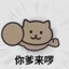 晚夜北