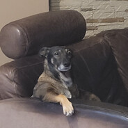 abqqoopago - steam id 76561199258275945